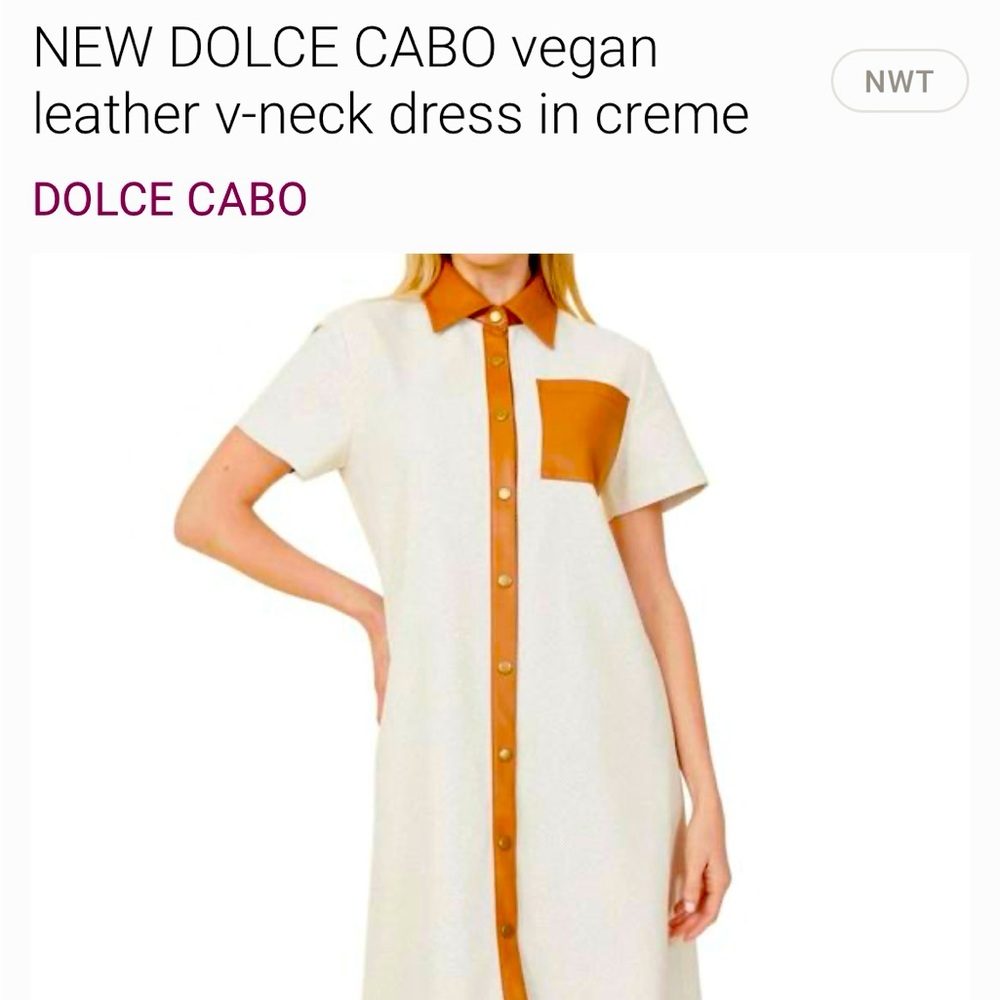 Dolce Cabo Cream and Brown V-Neck Dress
